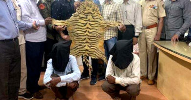 बाघ की खाल रखने के अपराध में दो गिरफ्तार, 5 लाख रुपये बताई जा रही कीमत