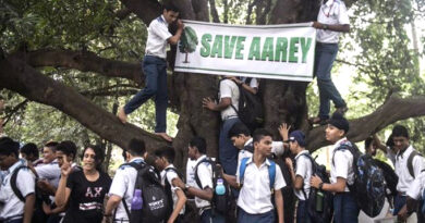 मुंबई: आरे में पेड़ों की कटाई का विरोध करने पहुंचे प्रकाश आंबेडकर पुलिस हिरासत में
