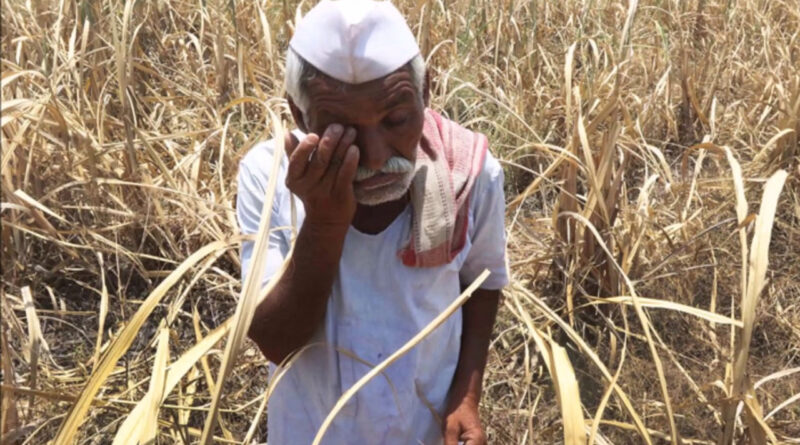 महाराष्ट्र: सूखा प्रभावित मराठवाडा से पलायन को मजबूर किसान