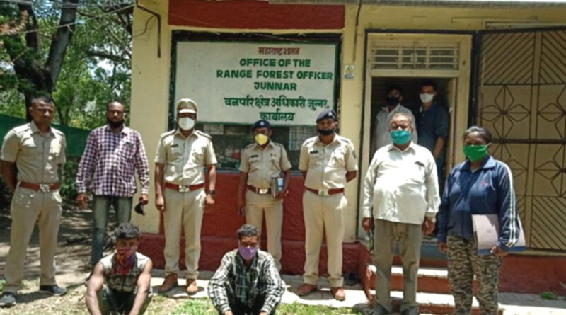 पुणे: लंगूर का शिकार करने और उसका मांस खाने के आरोप में दो गिरफ्तार