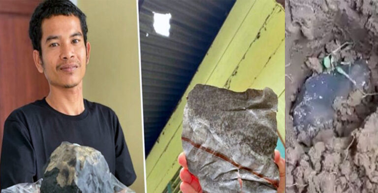 आसमान से गिरे एक पत्थर ने बदल दी इस शख्स की किस्मत, बन गया करोड़पति