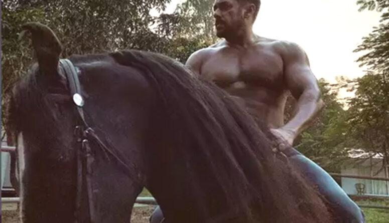 घोड़े पर बैठे शर्टलेस सलमान खान की तस्वीर देख फैन्स हो रहे लट्टू, माशाअल्लाह...54 की उम्र में ऐसी फिटनेस!