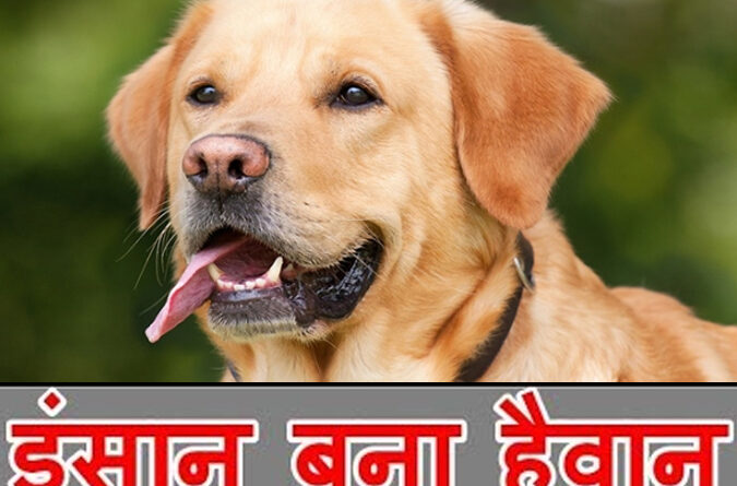 महाराष्ट्र: कुत्ते के साथ दुष्कर्म करने वाले को 6 माह की सजा!