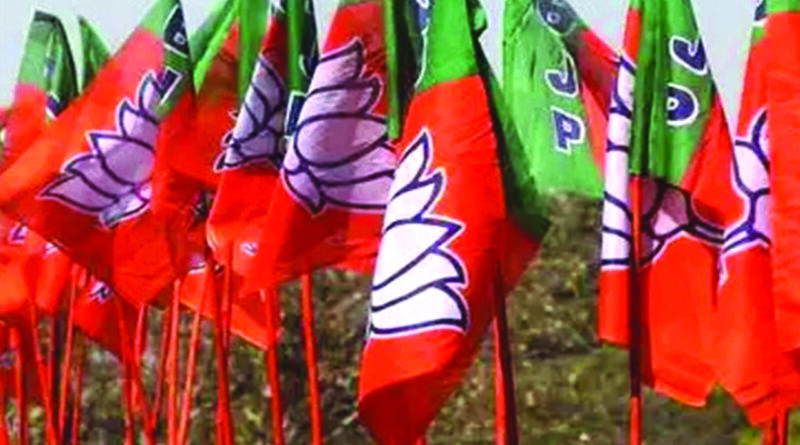 महाराष्ट्र के पंचायत चुनावों में बीजेपी की बल्ले-बल्ले, जीतीं सबसे ज्यादा सीटें; NCP नंबर दो पर