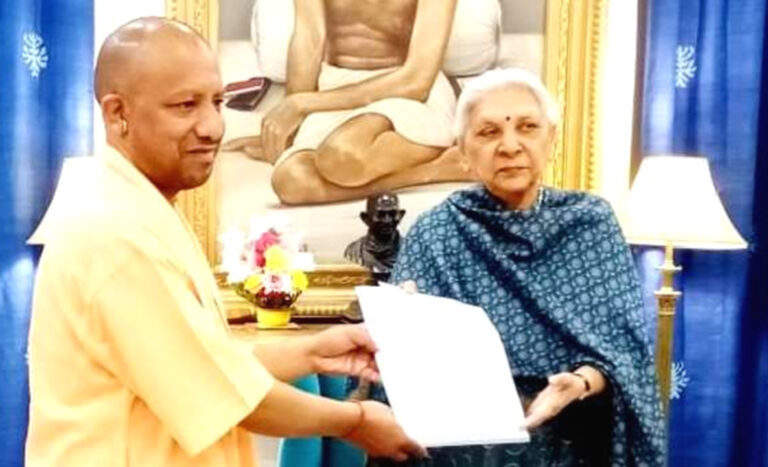 yogi