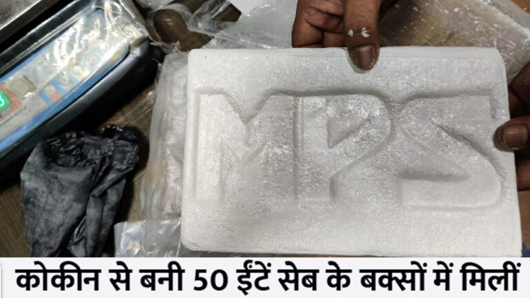 मुंबई: नाशपाती और सेब के कंटेनर में छुपाई गई 502 करोड़ की ड्रग्स जब्त; दक्षिण अफ्रीका से आई कोकीन से बनी 50 ईंटें!