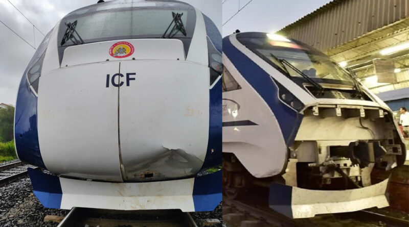 गाय को टक्कर मारने से फिर टूटी 'वंदे भारत एक्सप्रेस ट्रेन' की बॉडी, दो दिन में दूसरी घटना!