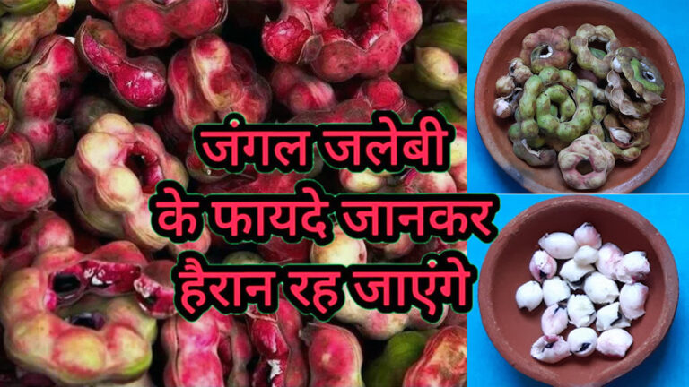 Jungle Jalebi Benefits