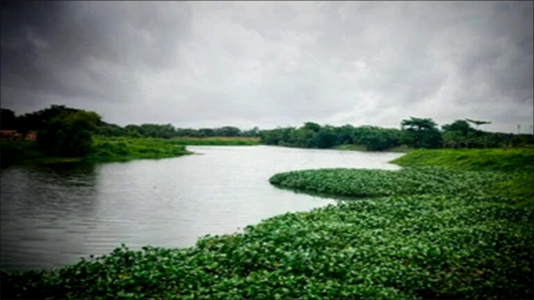 navi mumbai crime news