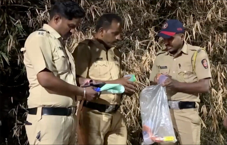 palghar news
