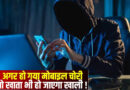 Mumbai: दादर मार्केट से बुजुर्ग व्यक्ति का मोबाइल हुआ चोरी, UPI के जरिए उड़ाए 6.42 लाख रुपये!