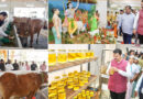 Maharashtra: सीएम फडणवीस के हाथों ”गोवर्धन गौशाला कोंकण” का उद्घाटन