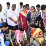 विश्व पर्यावरण दिवस